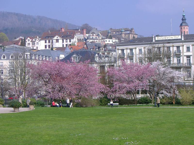 Fruehling in Baden Baden (15) 